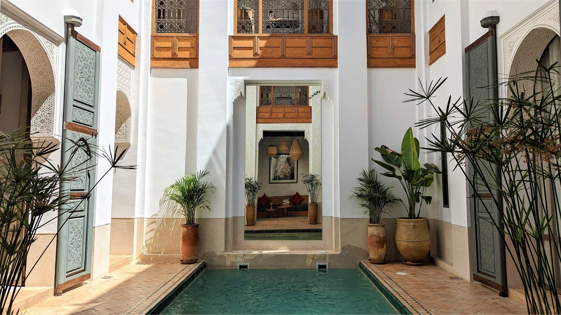 JARDIN DES SENS, Riad, Maison hôtes, hôtel, spa, Marrakech, piscine, plante