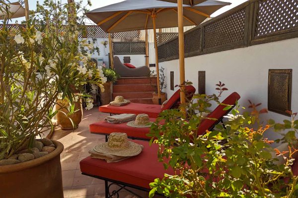 JARDIN DES SENS, Riad, Maison hôtes, hôtel, spa, Marrakech, soleil, rooftop, plantes