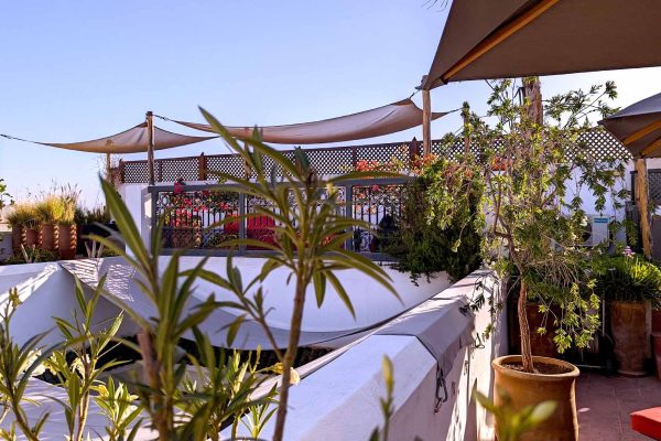 JARDIN DES SENS, Riad, Maison hôtes, hôtel, spa, Marrakech, rooftop, soleil, ciel bleu, plantes