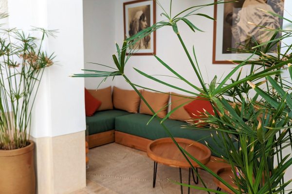 JARDIN DES SENS, Riad, Maison hôtes, hôtel, spa, Marrakech, plantes patio canapé